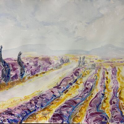 Lavender Rows and Cypress Trees, 38 x 60 cm