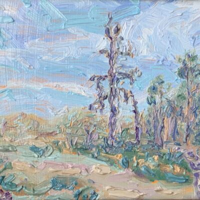 Hiking in Patvinsuo, 10 x 14 cm